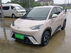 BYD Seagull Glory Edition 305km Freedom Version - ფოტო 1