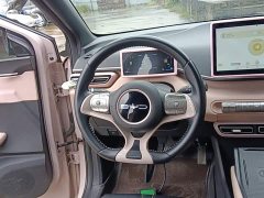 BYD Seagull Glory Edition 305km Freedom Version - ფოტო 10