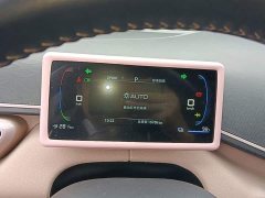BYD Seagull Glory Edition 305km Freedom Version - ფოტო 11