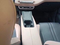BYD Seagull Glory Edition 305km Freedom Version - ფოტო 13