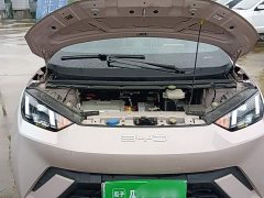 BYD Seagull Glory Edition 305km Freedom Version - ფოტო 19