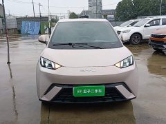 BYD Seagull Glory Edition 305km Freedom Version - ფოტო 2