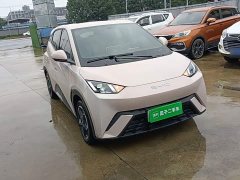 BYD Seagull Glory Edition 305km Freedom Version - ფოტო 3