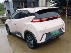 BYD Seagull Glory Edition 305km Freedom Version - ფოტო 4