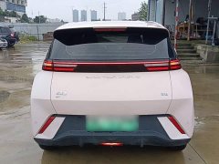 BYD Seagull Glory Edition 305km Freedom Version - ფოტო 5