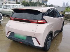 BYD Seagull Glory Edition 305km Freedom Version - ფოტო 6