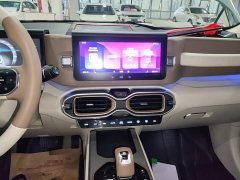 Geely ICON 1.5TD Qingyuan Limited Edition - ფოტო 12