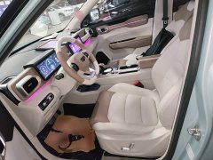 Geely ICON 1.5TD Qingyuan Limited Edition - ფოტო 14
