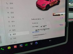 Tesla Model Y Rear-Wheel Drive - ფოტო 11
