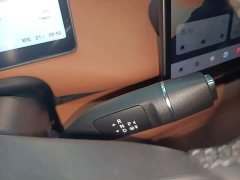 Leapmotor Leapo C10 530 Comfort Edition - ფოტო 13