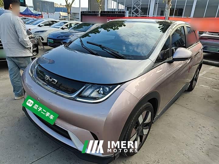 BYD Dolphin Glory Edition 401km Knight Edition - ავტომობილი ჩინეთიდან