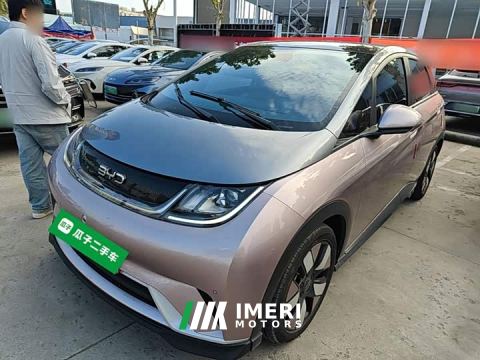 2024 BYD Dolphin Glory Edition 401km Knight Edition