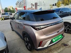 BYD Dolphin Glory Edition 401km Knight Edition - ფოტო 4