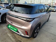 BYD Dolphin Glory Edition 401km Knight Edition - ფოტო 6
