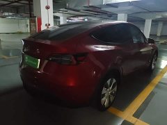 Tesla Model Y Rear-Wheel Drive - ფოტო 6