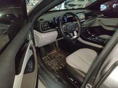 BYD Qin PLUS Champion Edition DM-i 55KM Exceed - ფოტო 15