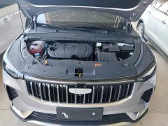 Geely Boyue 1.5T Aspiration - ფოტო 19