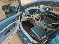 ORA Good Cat Morandi Edition 400km Standard Range Luxury Trim LFP - ფოტო 15
