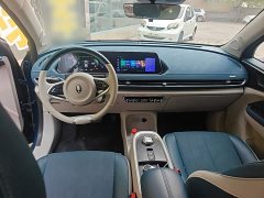 ORA Good Cat Morandi Edition 400km Standard Range Luxury Trim LFP - ფოტო 9