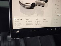 Tesla Model 3 Rear-Wheel Drive - ფოტო 11
