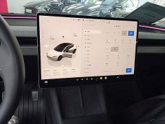 Tesla Model 3 Rear-Wheel Drive - ფოტო 12