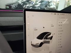Tesla Model 3 Rear-Wheel Drive - ფოტო 13