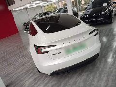 Tesla Model 3 Rear-Wheel Drive - ფოტო 4