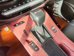 GAC Aion M6 PRO 270T DCT Luxury - ფოტო 13
