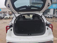 Geely Geometry E Firefly 401KM Linglong Tiger 5-Seater - ფოტო 18