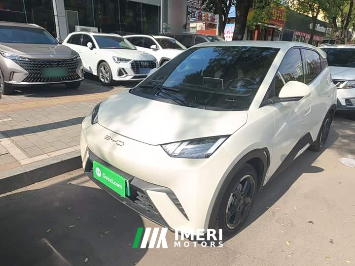 BYD Seagull Freedom Edition - ავტომობილი ჩინეთიდან