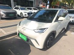 BYD Seagull Freedom Edition - ფოტო 1