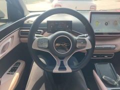 BYD Seagull Freedom Edition - ფოტო 10