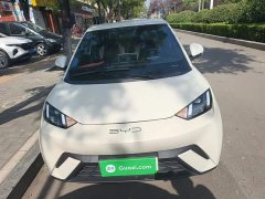 BYD Seagull Freedom Edition - ფოტო 2