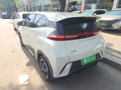 BYD Seagull Freedom Edition - ფოტო 4