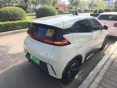 BYD Seagull Freedom Edition - ფოტო 6