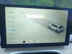 Geely Star Wish 310km Youth Edition - ფოტო 17