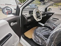 Changan Lumin Treasure Edition 205km Cool Love White CATL - ფოტო 15