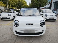 Changan Lumin Treasure Edition 205km Cool Love White CATL - ფოტო 2