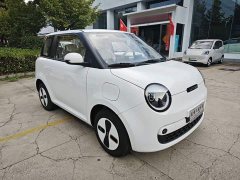 Changan Lumin Treasure Edition 205km Cool Love White CATL - ფოტო 3
