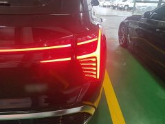 FAW Red Flag HS3 PHEV 115km Dynamic Edition - ფოტო 7