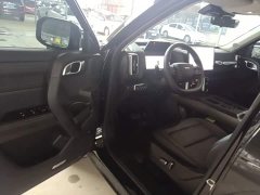 Great Wall Big Dog 1.5T DCT Labrador Edition - ფოტო 15