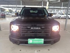 Great Wall Big Dog 1.5T DCT Labrador Edition - ფოტო 2