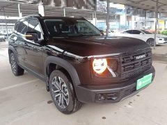 Great Wall Big Dog 1.5T DCT Labrador Edition - ფოტო 3