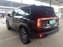 Great Wall Big Dog 1.5T DCT Labrador Edition - ფოტო 4