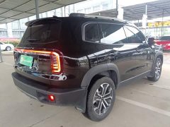 Great Wall Big Dog 1.5T DCT Labrador Edition - ფოტო 6