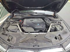 BMW 5 Series Facelift 530Li Leading Edition Luxury Package - ფოტო 10