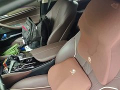 BMW 5 Series Facelift 530Li Leading Edition Luxury Package - ფოტო 7