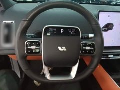 Li Auto L6 Pro - ფოტო 10