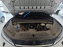BYD Yuan UP Smart Drive 401KM Leading Edition - ფოტო 19