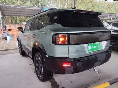 Jetour Jietu Liberator 2.0TD XWD Conquest - ფოტო 4